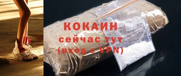 тгк Алексин