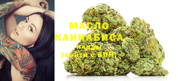 тгк Алексин