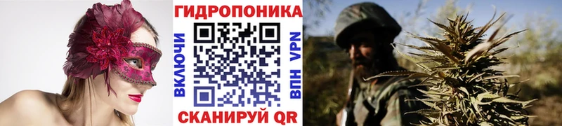 KRAKEN как зайти  Нарьян-Мар  даркнет клад  дарнет шоп  Бошки марихуана THC 21% 